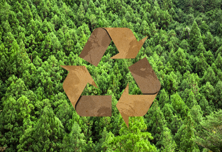 Treoir FSC & EUDR & PEFC maidir le Soláthar Soláthairtí Lónadóireachta Indiúscartha