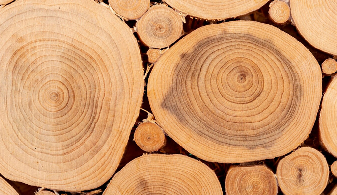 Co Táirgí Pacáistiú Juxian Yongrui, Teo.